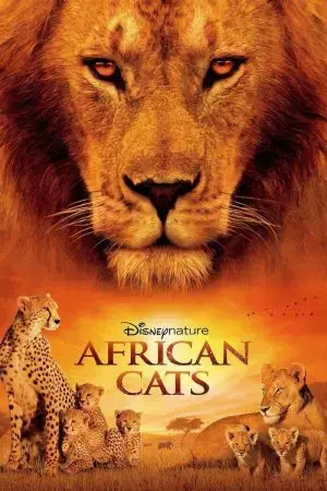 African Cats African Cats