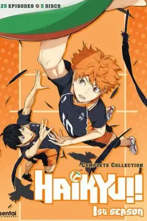 Haikyu - Chàng khổng lồ tí hon (Phần 1) Haikyu - Chàng khổng lồ tí hon (Phần 1)