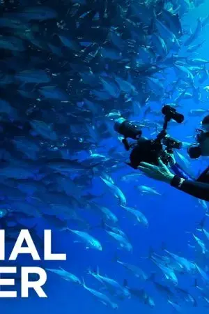 Lefter: Câu Chuyện Của Ordinarius